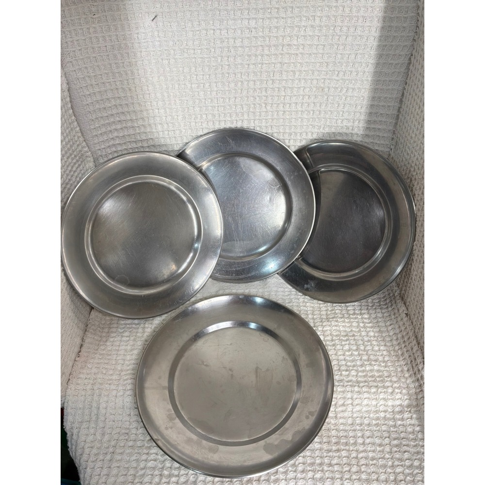 Gorpcore Unisex Unbranded Stainless Steel Camping Plates 10.5in Silver Set of 4